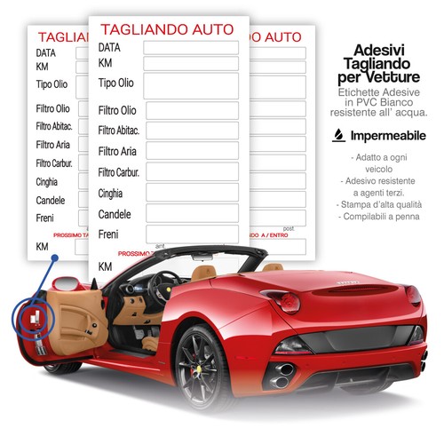 100 tagliando auto - auto, cambio